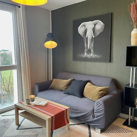 Le Colorado - Appartement Proche Airbus Colomiers Esterno foto