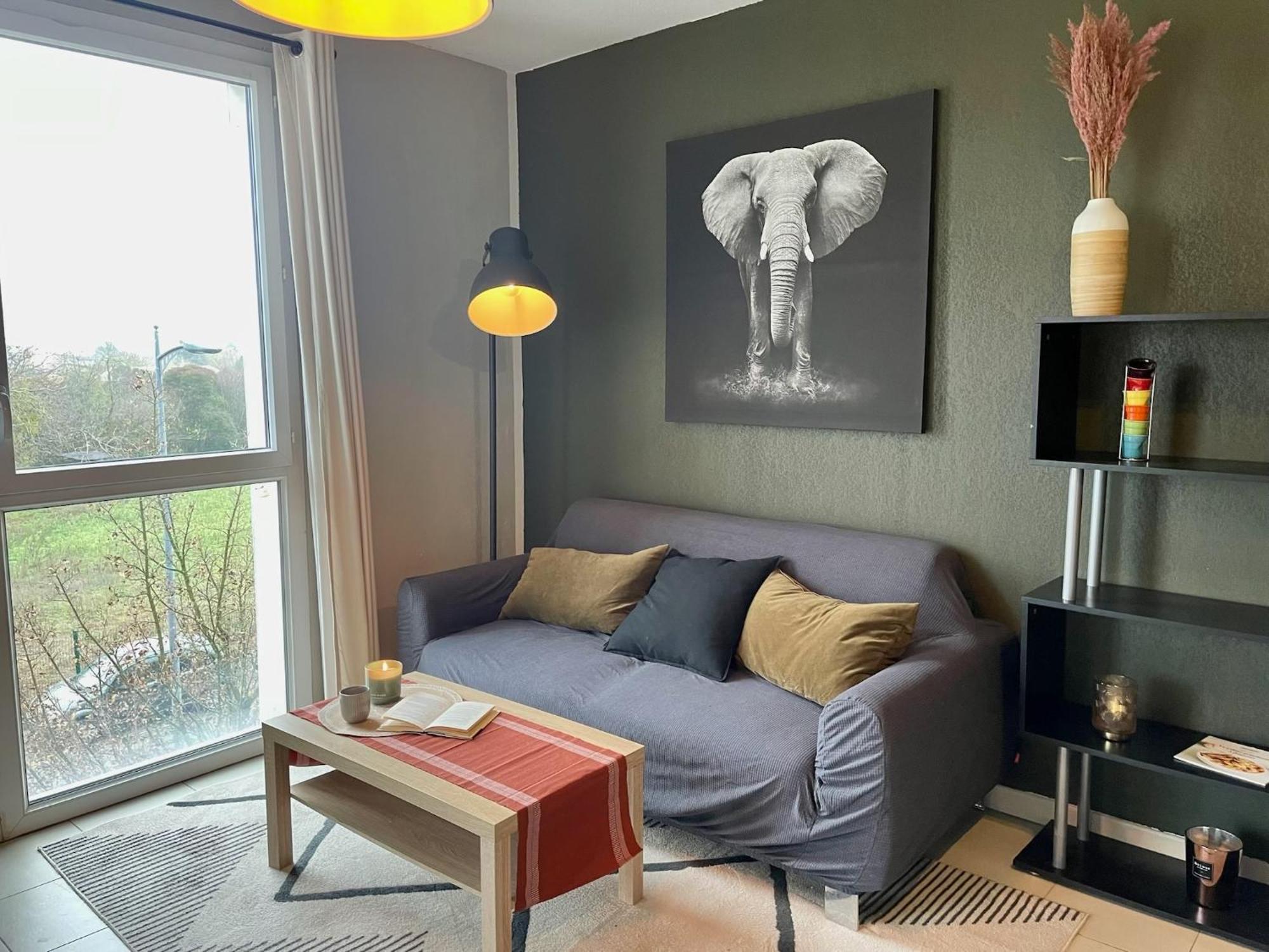 Le Colorado - Appartement Proche Airbus Colomiers Esterno foto