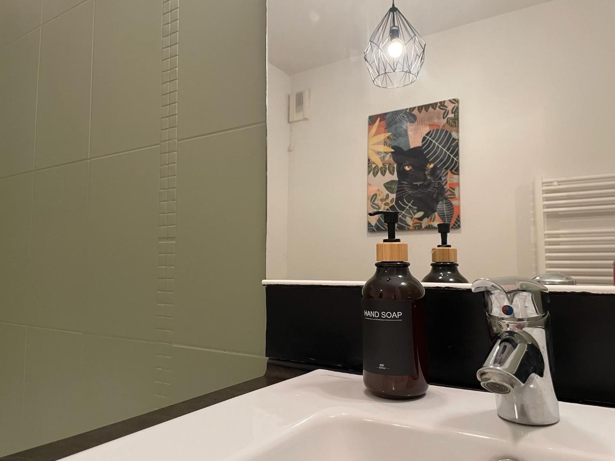 Le Colorado - Appartement Proche Airbus Colomiers Esterno foto